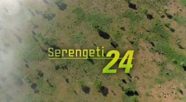 ¼Ƭ׸ǵ24/Serengeti 24-Ļ