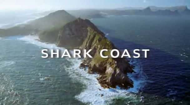 ¼Ƭ㺣/Shark Coast-Ļ