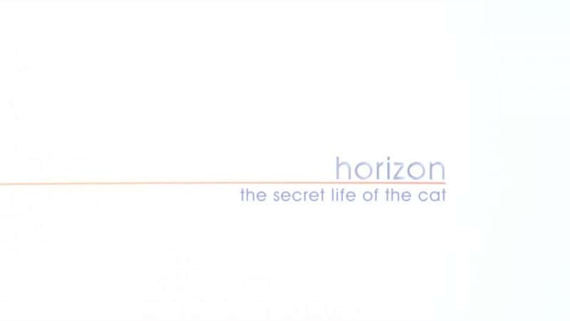 ¼Ƭè/The Secret Life of the Cat-Ļ