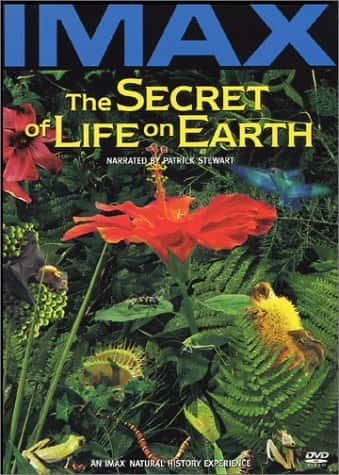 ¼Ƭϵ֮/The Secret of Life on Earth-Ļ