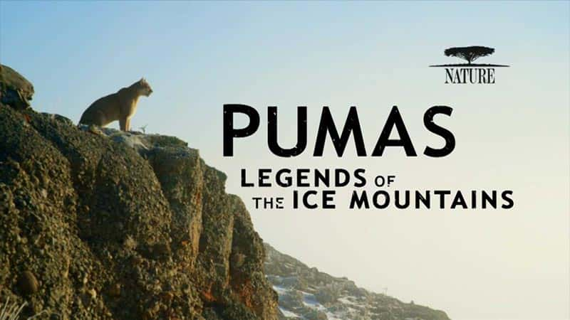 ¼Ƭʨɽ/Pumas: Legends of the Ice Mountains-Ļ