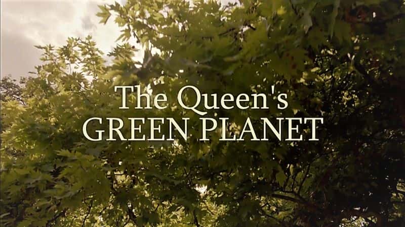 ¼ƬŮɫ/The Queens Green Planet-Ļ