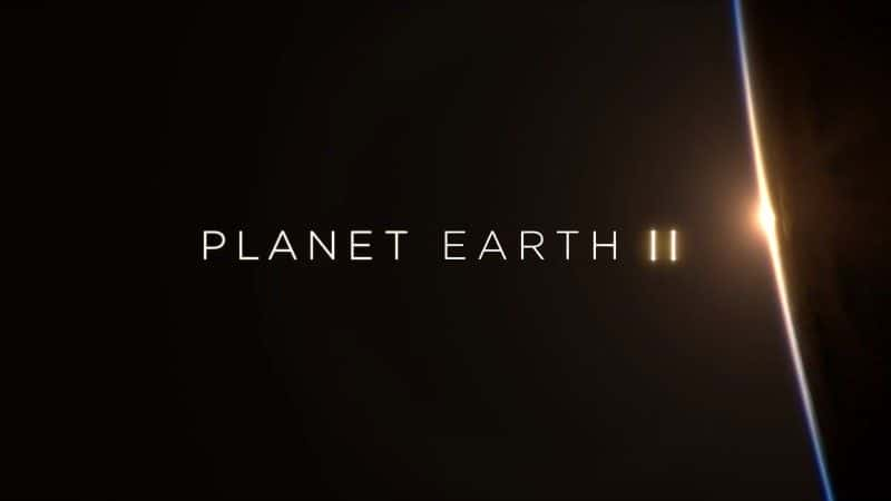 ¼ƬII4֣ɳĮ/Planet Earth II Part 4 Deserts-Ļ