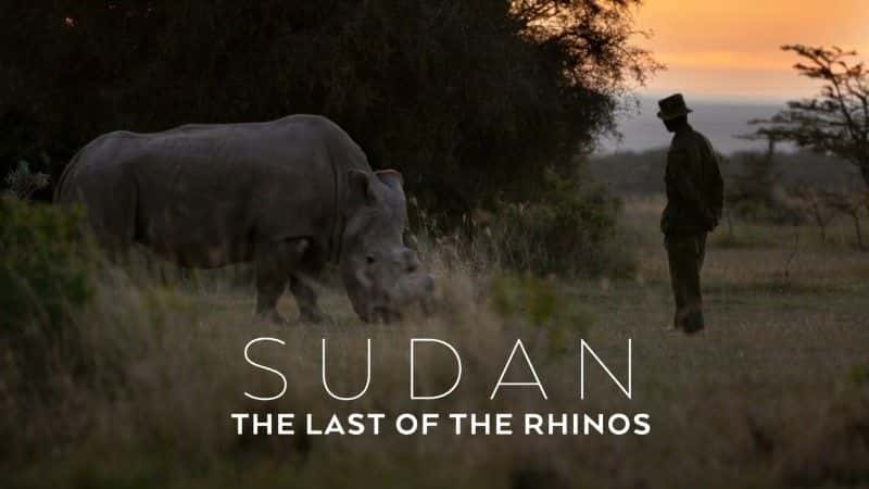 ¼ƬյϬţ/Sudan: The Last of the Rhinos-Ļ