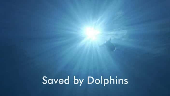 ¼Ƭ/Saved by Dolphins-Ļ