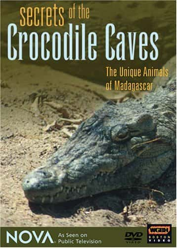 ¼Ƭ㶴Ѩ/Secrets of the Crocodile Caves-Ļ