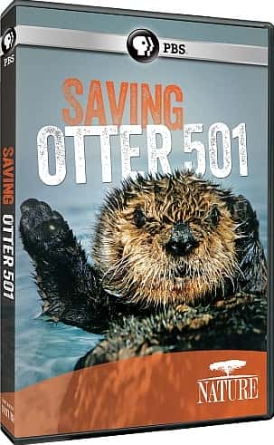 ¼Ƭˮ̡501/Saving Otter 501-Ļ