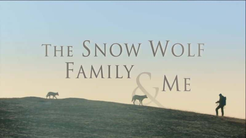 ¼ƬѩǼ/Snow Wolf Family and Me-Ļ