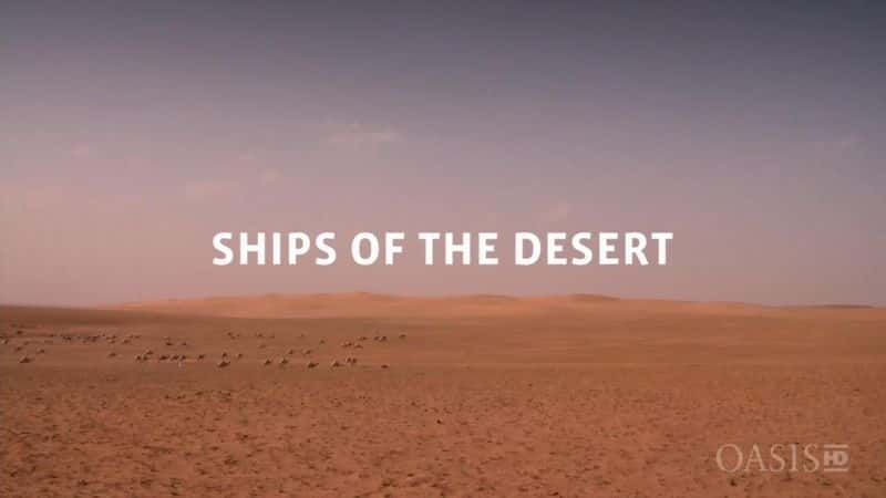 ¼ƬɳĮ֮/Ships of the Desert-Ļ