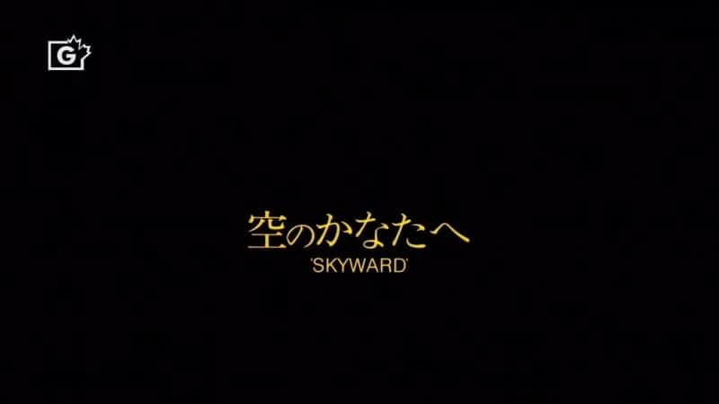 ¼Ƭϵ/Skyward-Ļ