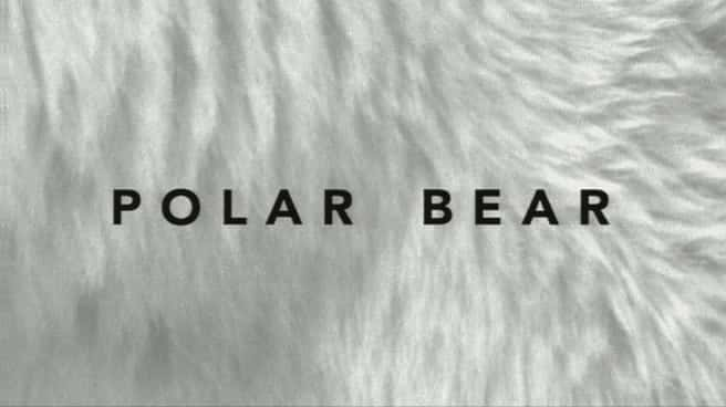 ¼Ƭ/Polar Bear-Ļ