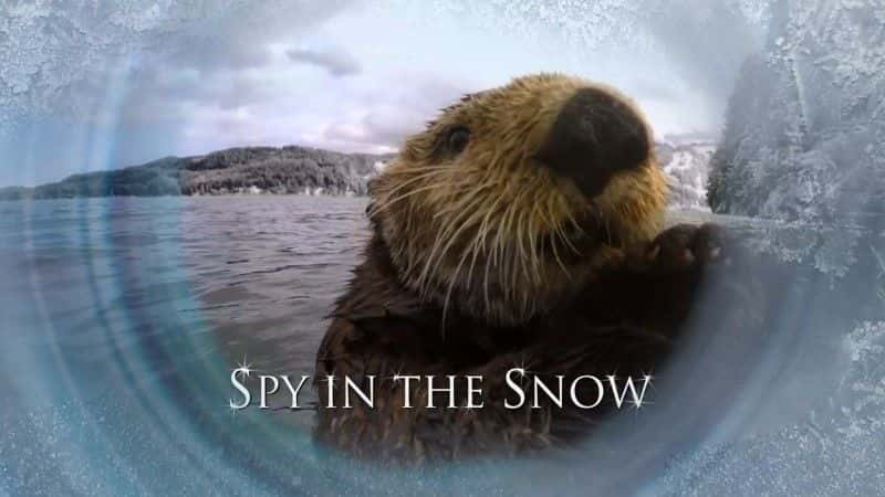 ¼Ƭѩм/Spy in the Snow-Ļ
