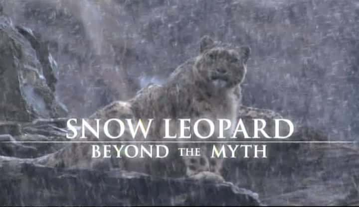 ¼Ƭѩ - Խ/Snow Leopard - Beyond the Myth-Ļ