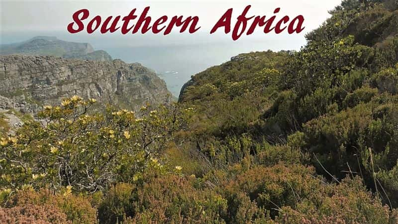 ¼ƬϷǣһ/Southern Africa: Series 1-Ļ