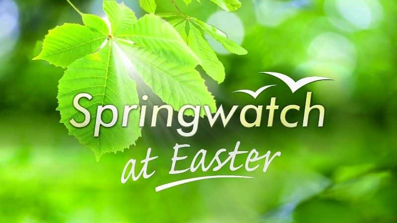 ¼Ƭ۲츴رĿ2016/Springwatch at Easter 2016-Ļ