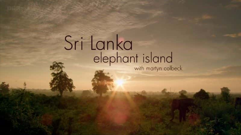 ¼Ƭ˹/Sri Lanka: Elephant Island-Ļ