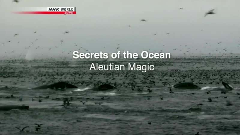 ¼Ƭܣħ/Secrets of the Ocean: Aleutian Magic-Ļ