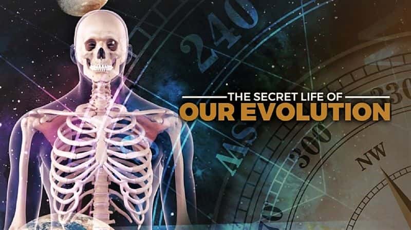 ¼Ƭǽʷһ/The Secret History of our Evolution: Series 1-Ļ