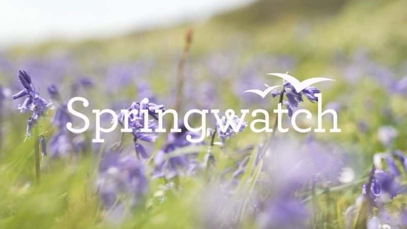 ¼Ƭ۲찴ť2021/Springwatch Red Button 2021-Ļ