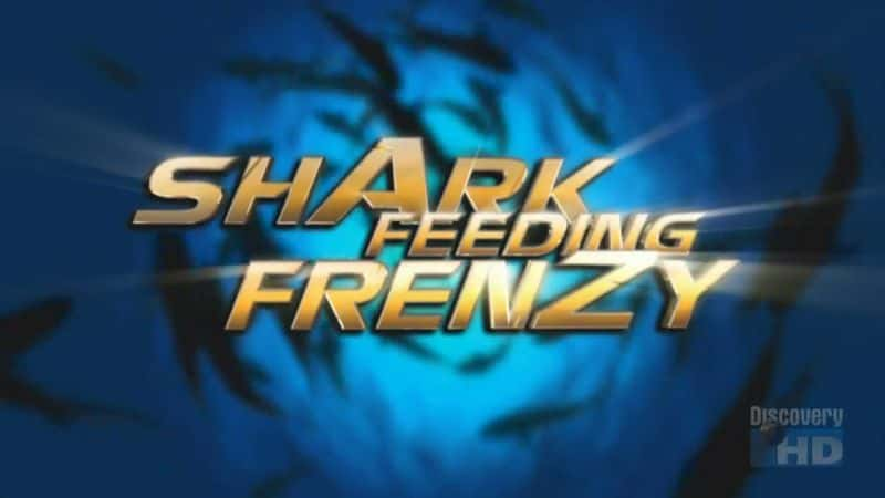 ¼Ƭʳ/Shark Feeding Frenzy-Ļ