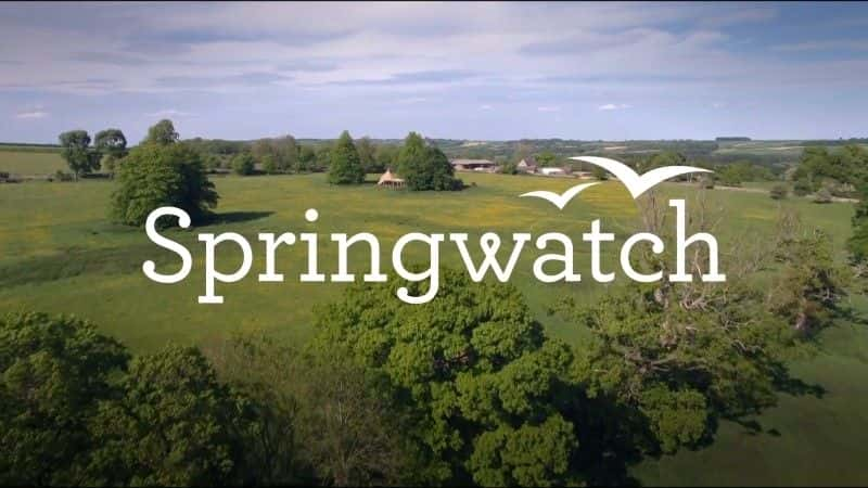 ¼Ƭ۲2017/Springwatch 2017-Ļ