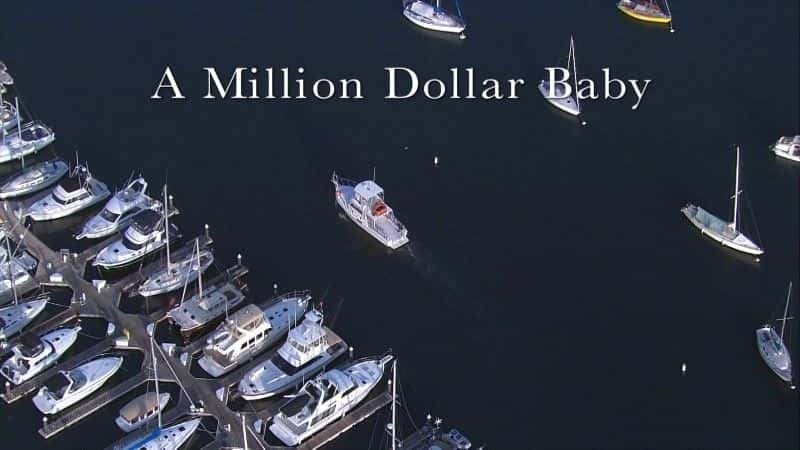 ¼Ƭ̡Ԫı/Sea Otters: A Million Dollar Baby-Ļ