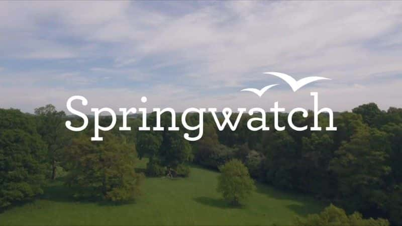 ¼Ƭ۲2018/Springwatch 2018-Ļ