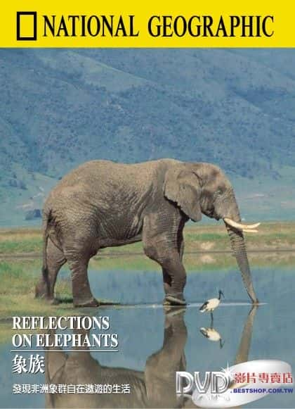 ¼ƬԴķ˼/Reflections on Elephants-Ļ