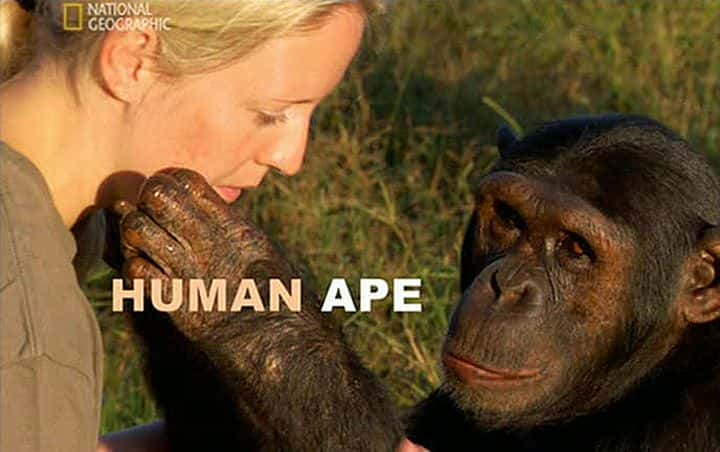 ¼ƬԳ/Smarter Than an Ape-Ļ