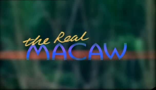 ¼ƬĽ/The Real Macaw-Ļ