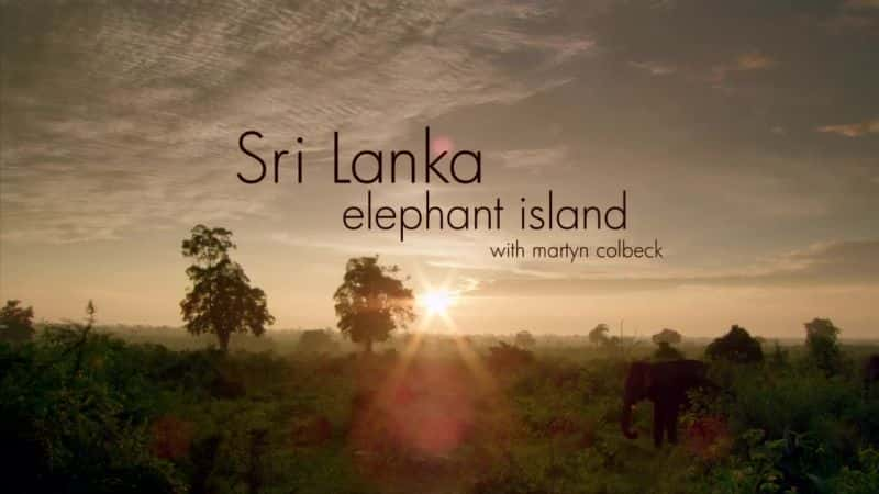 ¼Ƭ˹/Sri Lanka: Elephant Island-Ļ