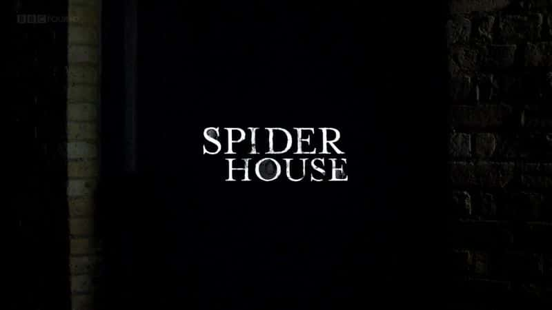 ¼Ƭ֮֩/Spider House-Ļ