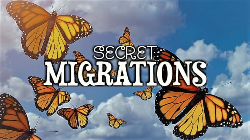 ¼ƬǨܣһ/Secret Migrations: Series 1-Ļ