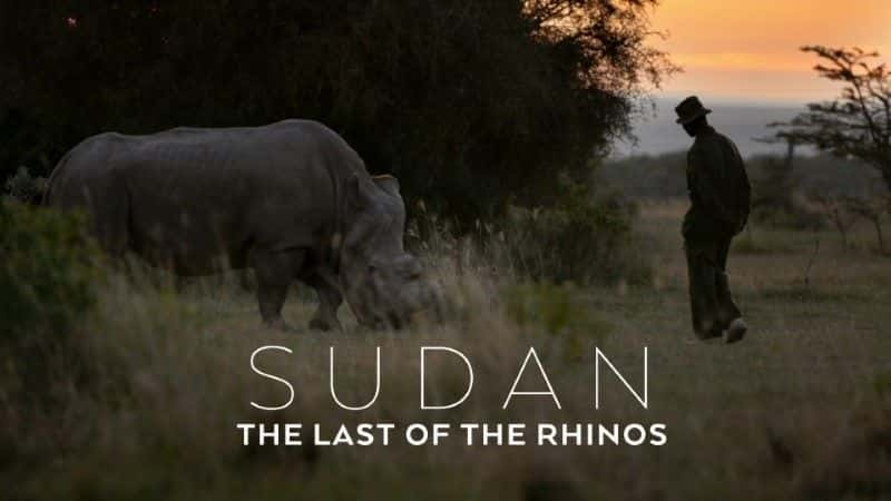 ¼ƬյϬţ/Sudan: The Last of the Rhinos-Ļ