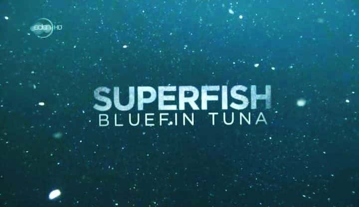 ¼Ƭ㣺ǹ/Superfish: Bluefin Tuna-Ļ