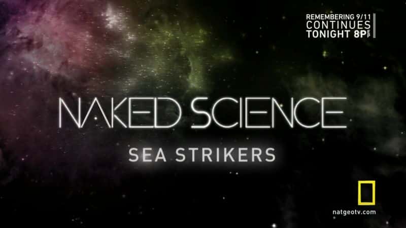 ¼Ƭϰչ/Sea Strikers-Ļ