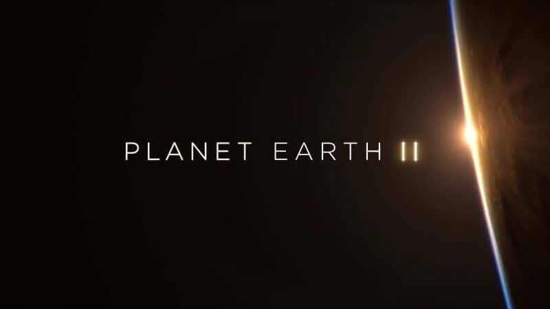 ¼ƬII2-ɽ/Planet Earth II: Part 2-Mountains-Ļ