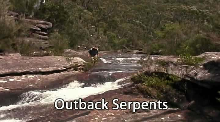 ¼Ƭ޲/Outback Serpents-Ļ