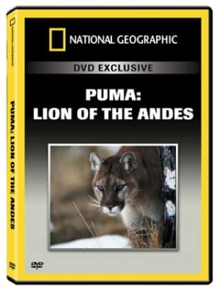 ¼Ƭʨ˹֮ʨ/Puma: Lion of the Andes-Ļ