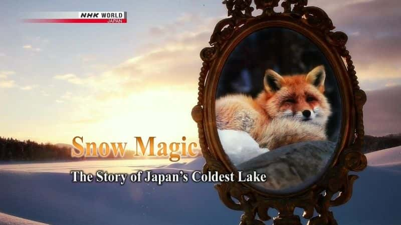 ¼Ƭѩħ/Snow Magic-Ļ