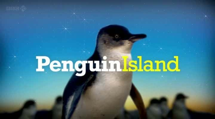 ¼Ƭ쵺/Penguin Island-Ļ