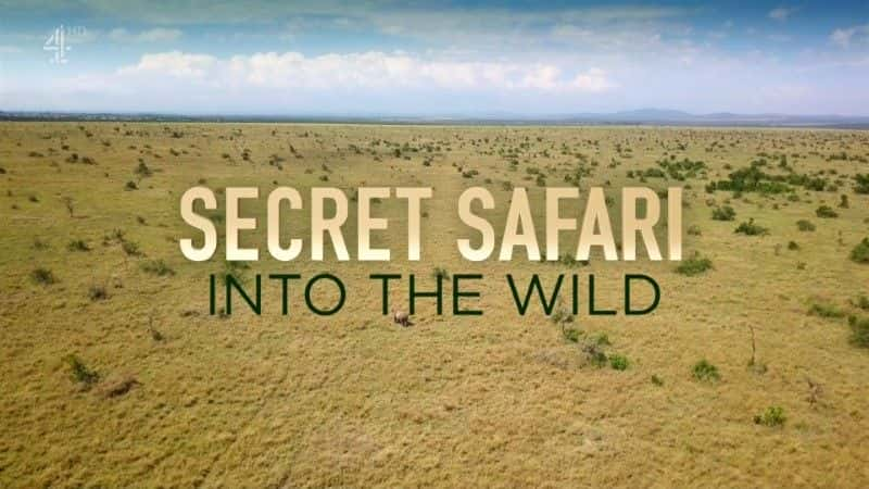 ¼ƬܵҰ֮/Secret Safari: Into the Wild-Ļ