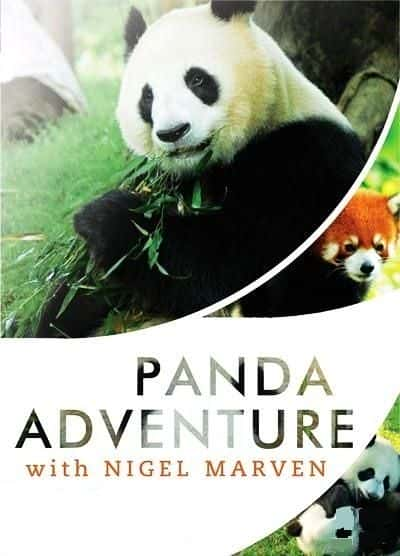 ¼Ƭһèð/Panda Adventure with Nigel Marven-Ļ