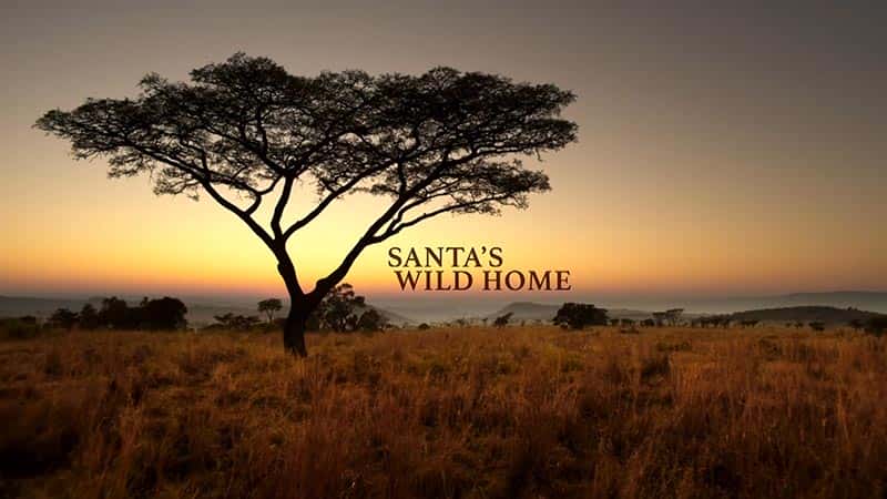 ¼Ƭʥ˵Ұ԰/Santa's Wild Home-Ļ