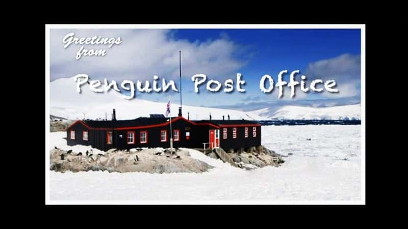 ¼Ƭʾ/Penguin Post Office-Ļ