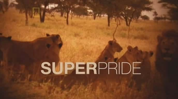 ¼Ƭ/Super Pride-Ļ