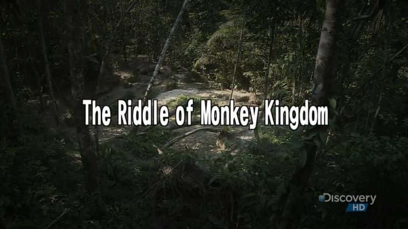 ¼Ƭ֮/The Riddle of Monkey Kingdom-Ļ