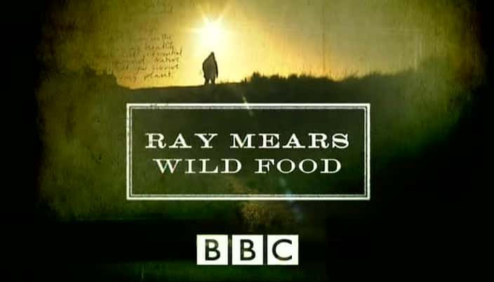 ¼Ƭס׶˹Ұʳ/Ray Mears Wild Food-Ļ