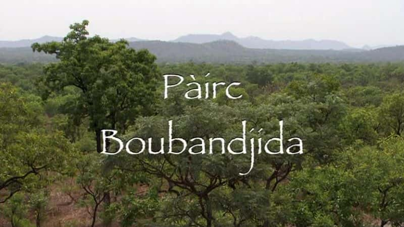 ¼ƬPairc Boubandjida/Pairc Boubandjida-Ļ