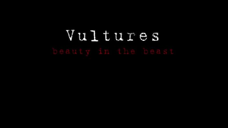 ¼ƬͺգҰе/Vultures: Beauty in the Beast-Ļ